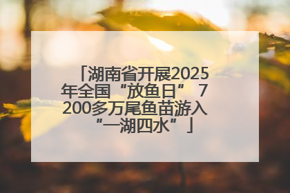 湖南省开展2025年全国“放鱼日” 7200多万尾鱼苗游入“一湖四水”