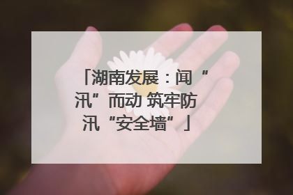 湖南发展：闻“汛”而动 筑牢防汛“安全墙”