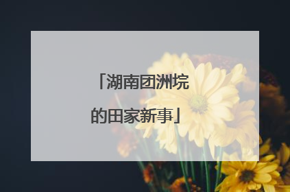 湖南团洲垸的田家新事