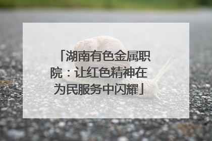 湖南有色金属职院：让红色精神在为民服务中闪耀