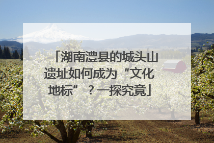 湖南澧县的城头山遗址如何成为“文化地标”？一探究竟