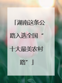 湖南这条公路入选全国“十大最美农村路”
