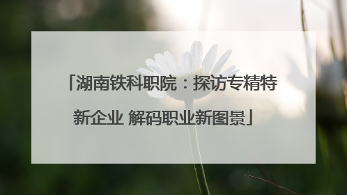 湖南铁科职院：探访专精特新企业 解码职业新图景