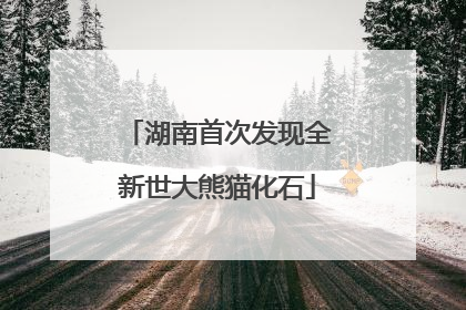 湖南首次发现全新世大熊猫化石