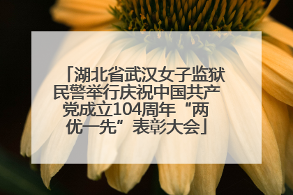 湖北省武汉女子监狱民警举行庆祝中国共产党成立104周年“两优一先”表彰大会