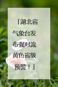 湖北省气象台发布强对流黄色省级预警！