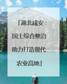湖北咸安：国土综合整治助力打造现代农业高地