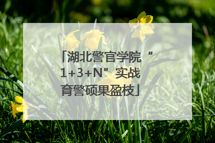 湖北警官学院“1+3+N”实战育警硕果盈枝