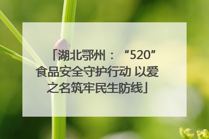 湖北鄂州：“520”食品安全守护行动 以爱之名筑牢民生防线