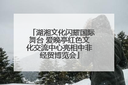 湖湘文化闪耀国际舞台 爱晚亭红色文化交流中心亮相中非经贸博览会