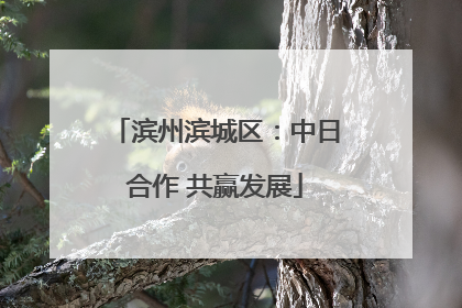 滨州滨城区：中日合作 共赢发展
