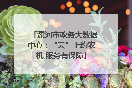漯河市政务大数据中心：“云”上约农机 服务有保障