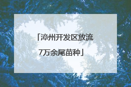 漳州开发区放流7万余尾苗种
