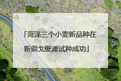 菏泽三个小麦新品种在新疆戈壁滩试种成功