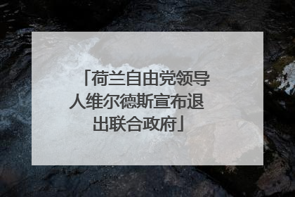 荷兰自由党领导人维尔德斯宣布退出联合政府