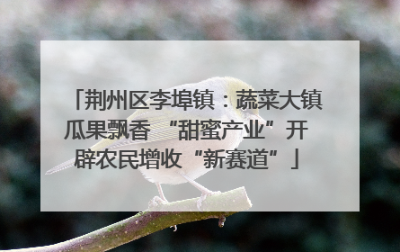 荆州区李埠镇：蔬菜大镇瓜果飘香 “甜蜜产业”开辟农民增收“新赛道”