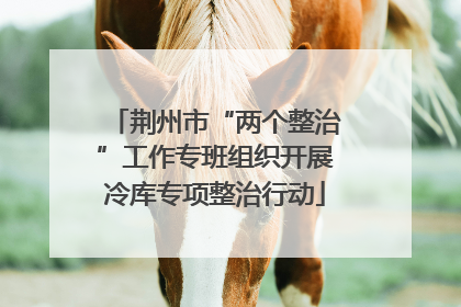 荆州市“两个整治”工作专班组织开展冷库专项整治行动
