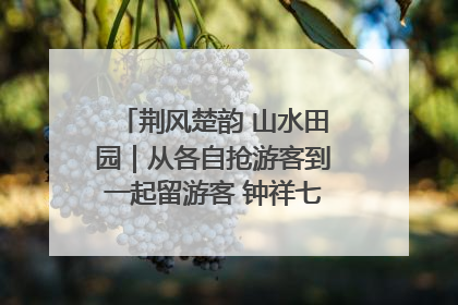 荆风楚韵 山水田园｜从各自抢游客到一起留游客 钟祥七村抱团解了“乡愁”添了“乡酬”