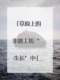 草原上的非遗工坊“生长”中