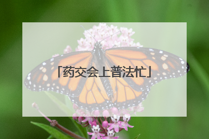 药交会上普法忙