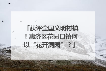 获评全国文明村镇！惠济区花园口镇何以“花开满园”？
