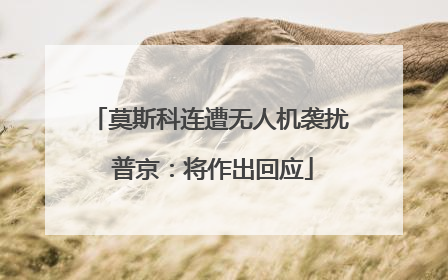 莫斯科连遭无人机袭扰 普京：将作出回应