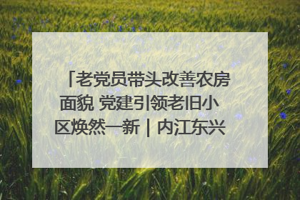 老党员带头改善农房面貌 党建引领老旧小区焕然一新｜内江东兴“红”在哪？④