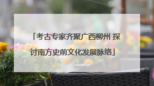 考古专家齐聚广西柳州 探讨南方史前文化发展脉络