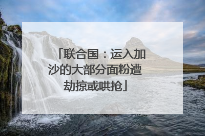 联合国：运入加沙的大部分面粉遭劫掠或哄抢