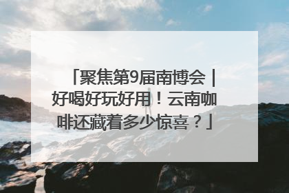 聚焦第9届南博会｜好喝好玩好用！云南咖啡还藏着多少惊喜？
