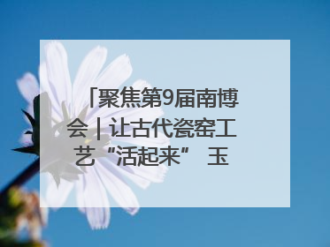 聚焦第9届南博会｜让古代瓷窑工艺“活起来” 玉溪传承瓷窑工艺将出展南博会