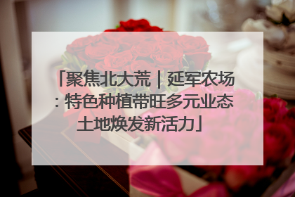 聚焦北大荒｜延军农场：特色种植带旺多元业态 土地焕发新活力