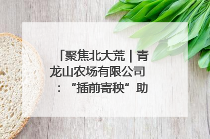 聚焦北大荒｜青龙山农场有限公司：“插前寄秧”助力农业节本增效