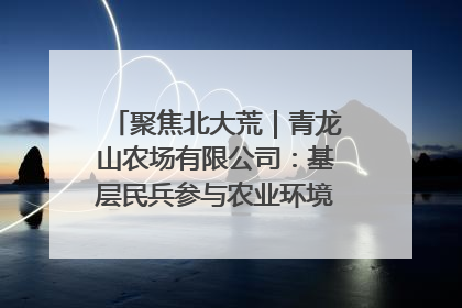 聚焦北大荒｜青龙山农场有限公司：基层民兵参与农业环境综合治理显效