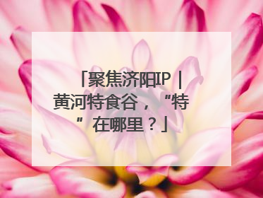 聚焦济阳IP｜黄河特食谷，“特”在哪里？