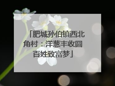 肥城孙伯镇西北角村：洋葱丰收圆百姓致富梦