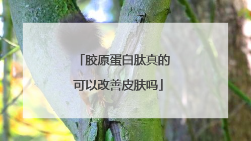 胶原蛋白肽真的可以改善皮肤吗