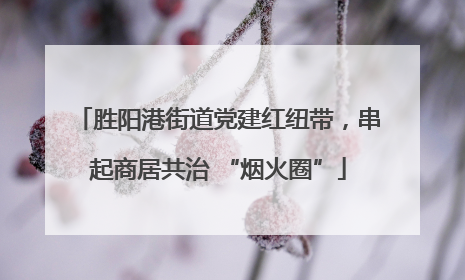 胜阳港街道党建红纽带，串起商居共治 “烟火圈”
