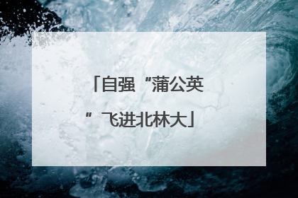 自强“蒲公英”飞进北林大