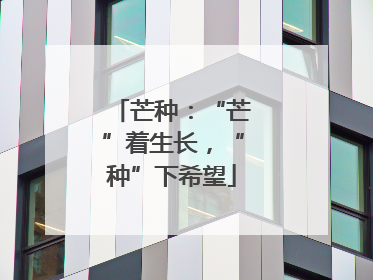 芒种：“芒”着生长，“种”下希望