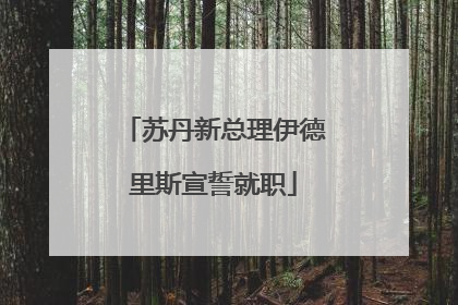 苏丹新总理伊德里斯宣誓就职