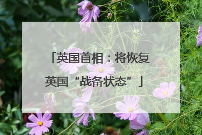 英国首相：将恢复英国“战备状态”
