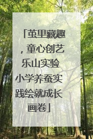茧里藏趣，童心创艺 乐山实验小学养蚕实践绘就成长画卷