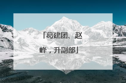 葛建团、赵峰，升副部