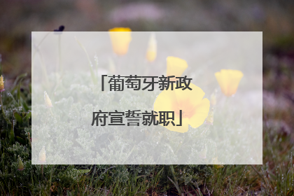 葡萄牙新政府宣誓就职