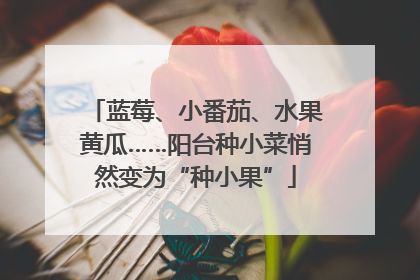 蓝莓、小番茄、水果黄瓜……阳台种小菜悄然变为“种小果”
