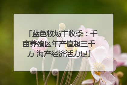 蓝色牧场丰收季：千亩养殖区年产值超三千万 海产经济活力足