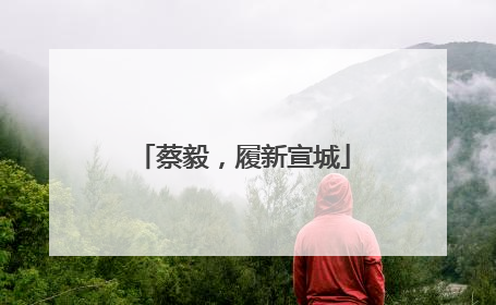 蔡毅，履新宣城