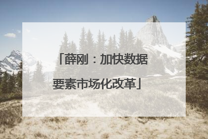 薛刚：加快数据要素市场化改革