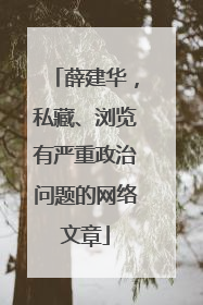 薛建华，私藏、浏览有严重政治问题的网络文章